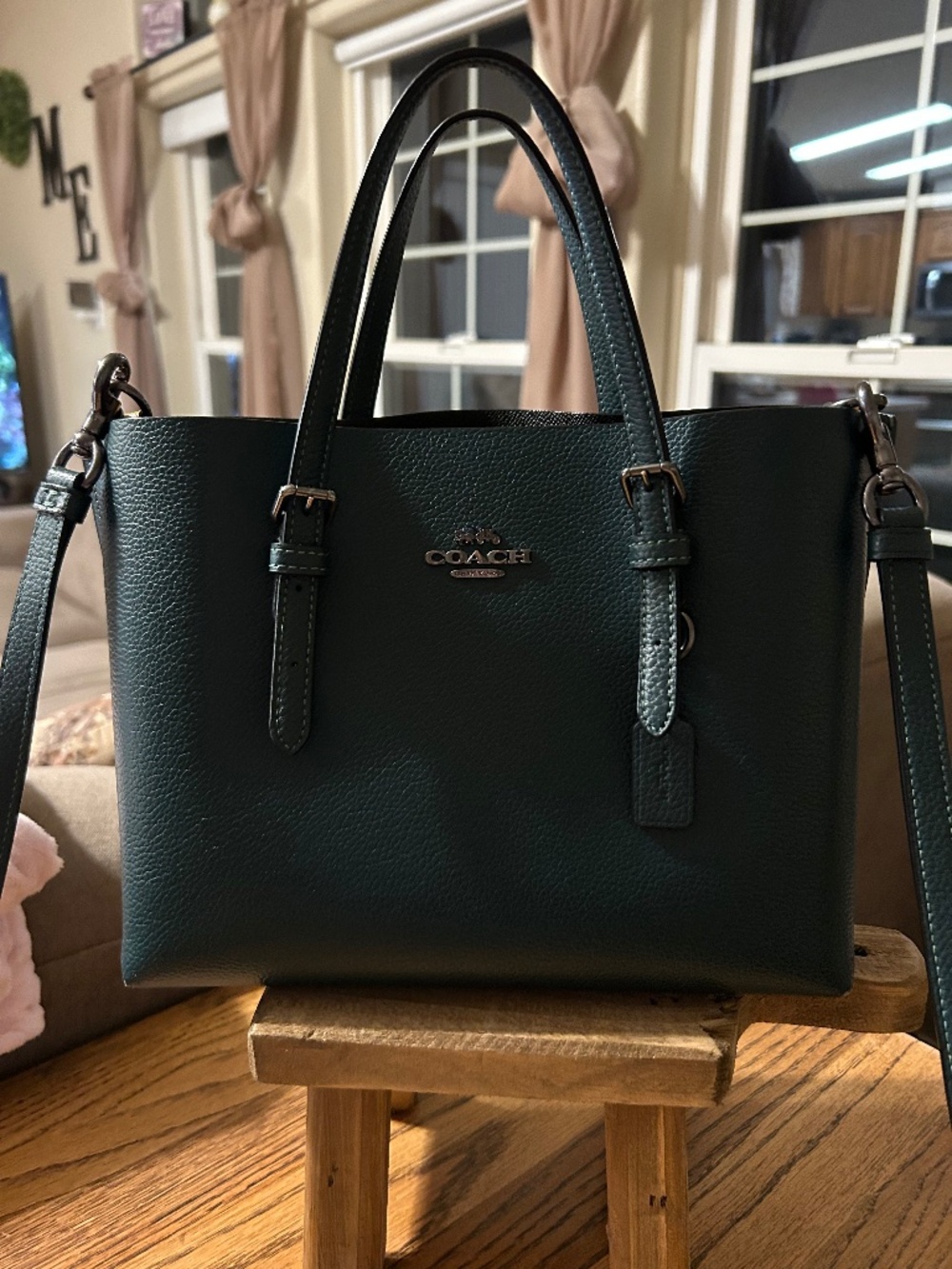 Coach Mollie 25 Tote Bag Purse Crossbody CV 966 Deep Green